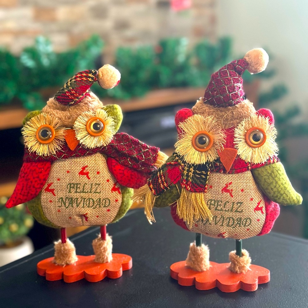 Holiday Decor Red and Green Owl with words Feliz Navidad